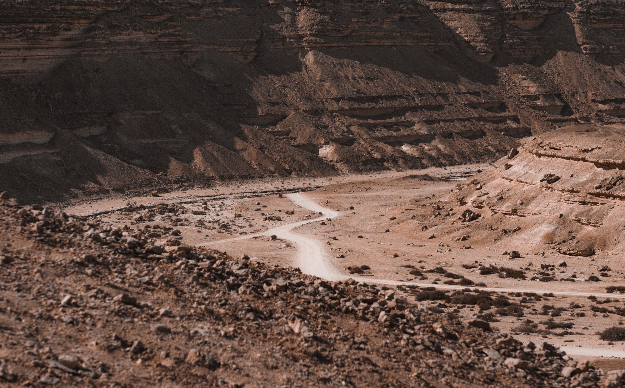 Silent Echoes of the Desert