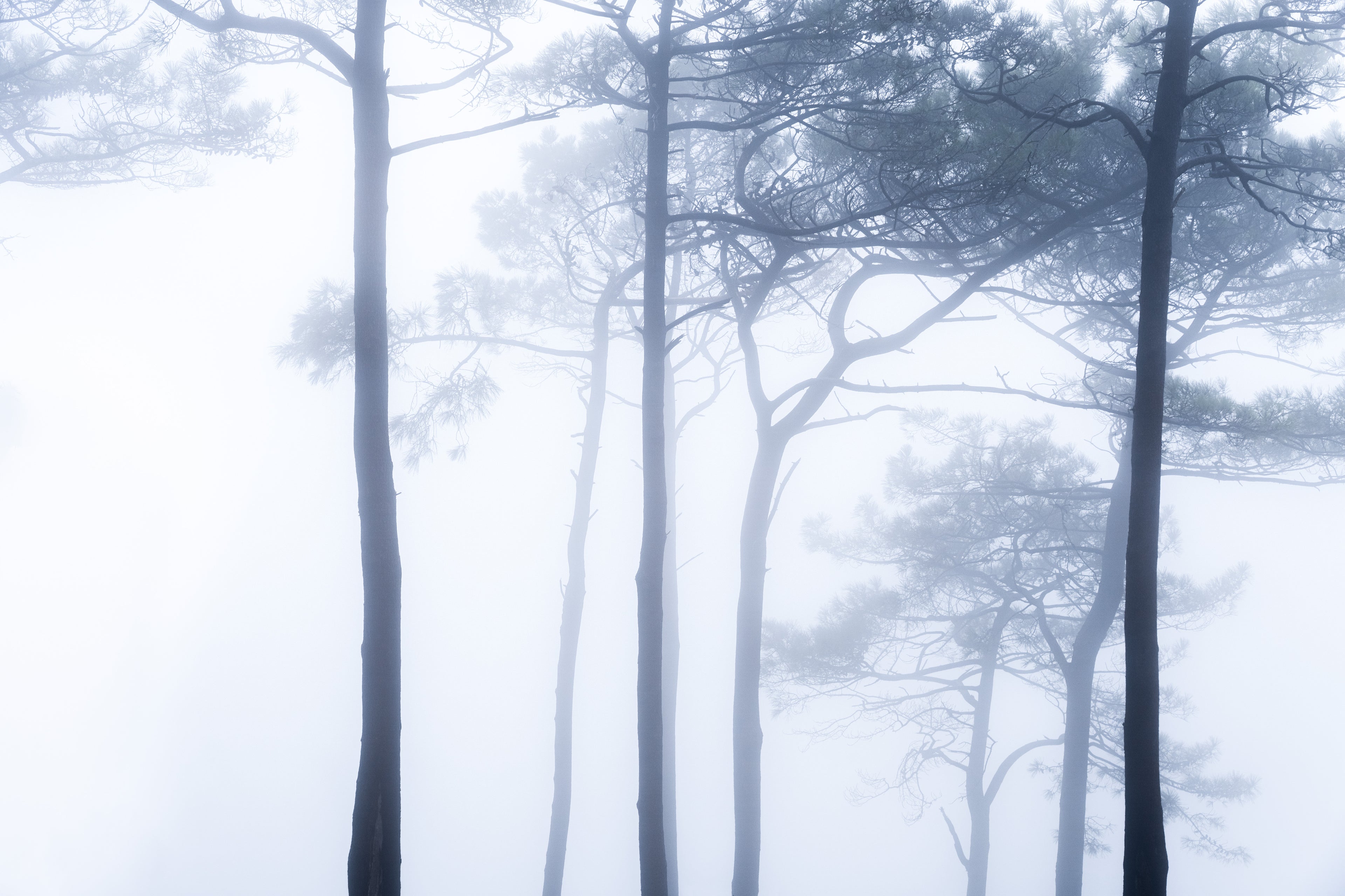 Mistbound Horizons 02