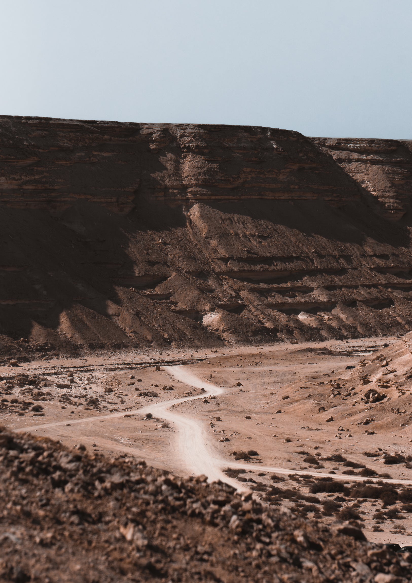 Silent Echoes of the Desert 01